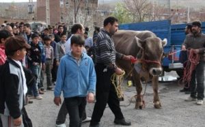 جشن سی‌وششمین روز بهار – ایسنا