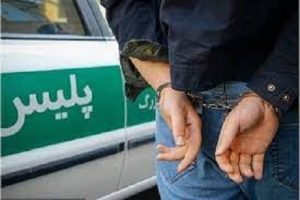 پلنگ آذربایجان دستگیر شد – ایسنا